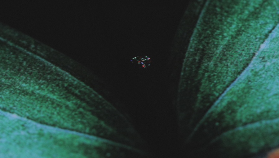 Galaxy Fold schermo guasto dopo un giorno di prova