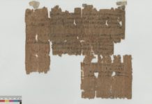 I papiri del Museo Egizio di Torino approdano online