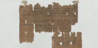 I papiri del Museo Egizio di Torino approdano online