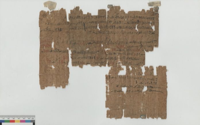 I papiri del Museo Egizio di Torino approdano online
