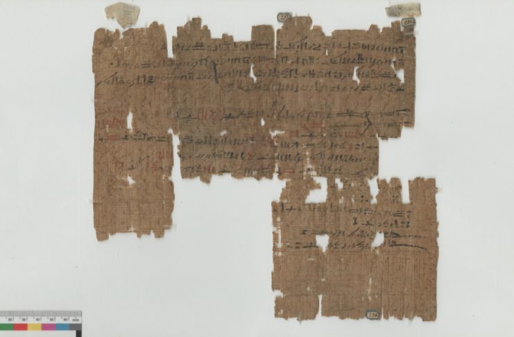 I papiri del Museo Egizio di Torino approdano online