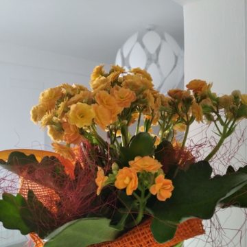 Recensione Xiaomi Mi 9T, è ancora il migliore medio gamma in commercio?