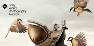 Al via la mostra Sony World Photography Awards 2019