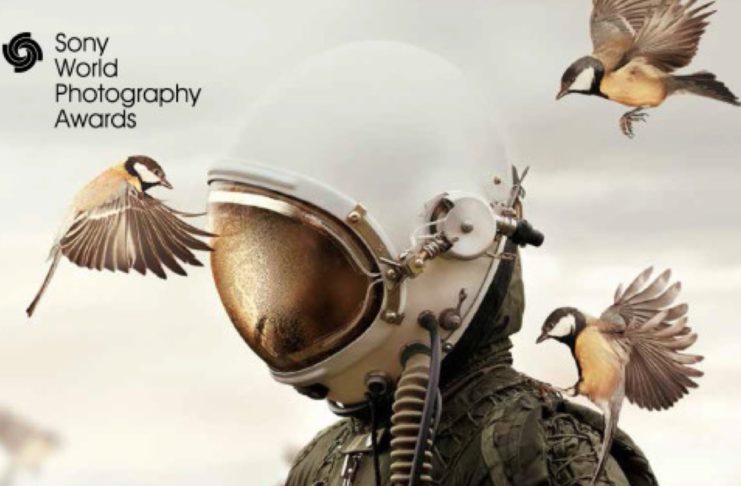 Al via la mostra Sony World Photography Awards 2019