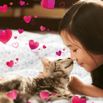 Adobe presenta Premiere e Photoshop Elements 2020