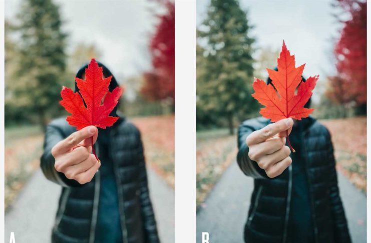 Un filmato mette a confronto la qualità di iPhone 11 Pro con una DSLR di Canon