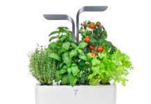 Da Véritable gli orti interni per coltivare a casa gli alimenti, in Italia con Attiva