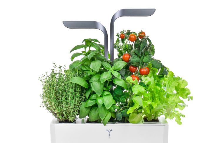 Da Véritable gli orti interni per coltivare a casa gli alimenti, in Italia con Attiva