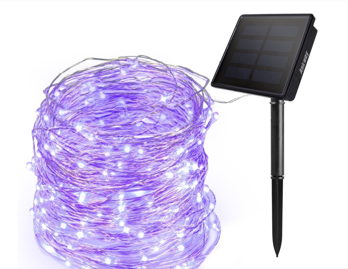 Catena con 200 luci LED viola e pannello solare in sconto a metà prezzo: 7,99 euro