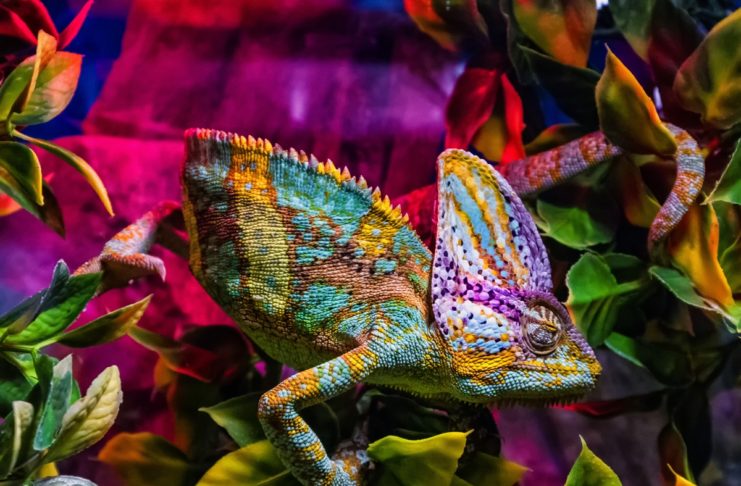 Come utilizzare Photoshop in modo strategico