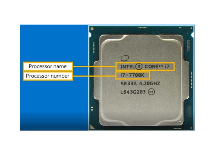 Come individuare il processore del Mac dal Terminale