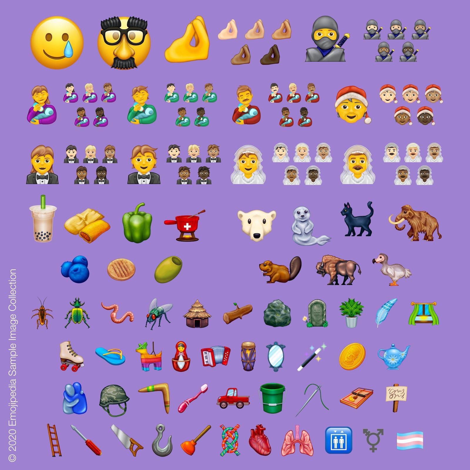 Nuove Emoji 2020; in arrivo orso polare, piuma, bacchetta magica e tantissime altre
