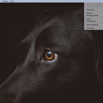 Con  Plash il vostro sito preferito al posto dell’immagine Scrivania del Mac