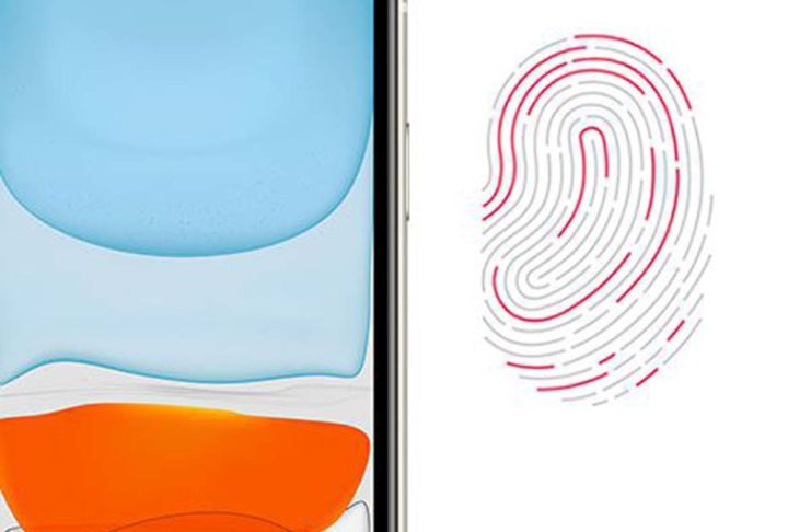 Secondo l’analista Ming-Chi Kuo i nuovi gli iPhone LCD del 2021 integreranno il Touch ID nel display