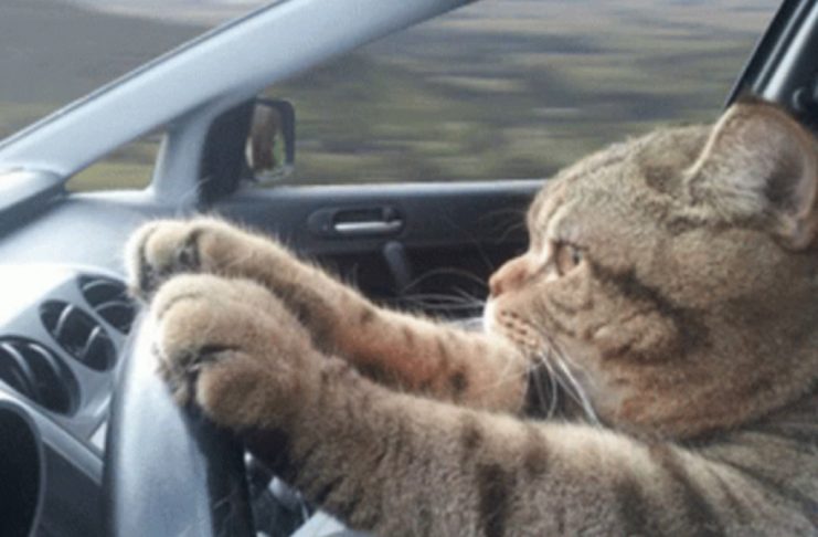 È facile trovare la GIF perfetta con i nuovi strumenti gratuiti di Tenor