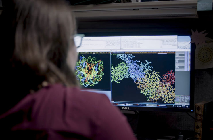 Microsoft ha annunciato AI For Health, l’intelligenza artificiale al servizio della ricerca medico scientifica