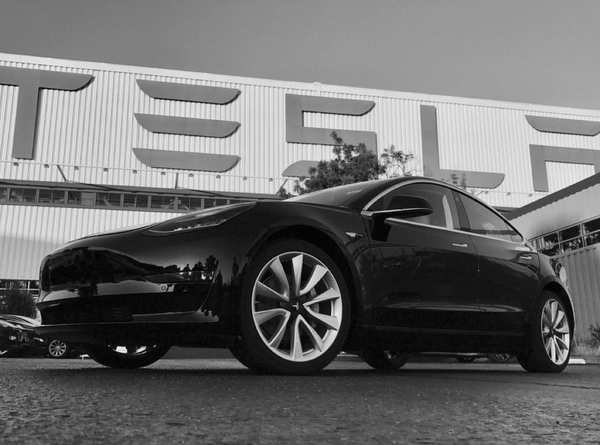 Tesla Gigafactory di Berlino non convince gli ambientalisti: stop dei lavori