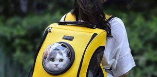 Lo zaino trasportino Xiaomi youpin per trasportare il vostro gatto in offerta