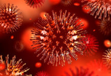 Garante concorrenza indaga su Amazon ed eBay per affermazioni ingannevoli e aumento prezzi mascherine e disinfettanti