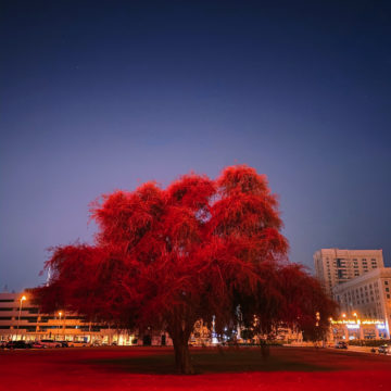 Apple annuncia i vincitori del concorso Night Mode Shot on iPhone