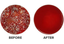 Come pulire e disinfettare smartphone e tablet Virus e batteri, come disinfettare smartphone e tablet