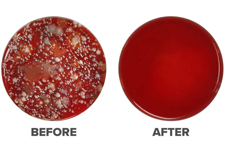 Virus e batteri, come disinfettare smartphone e tablet