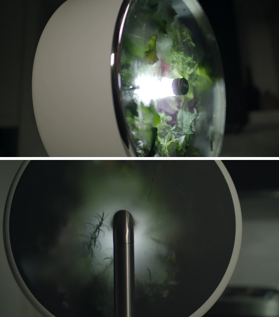 Rotofarm: su indiegogo il giardino indoor ispirato alla NASA Rotofarm: su indiegogo il giardino indoor ispirato alla NASA