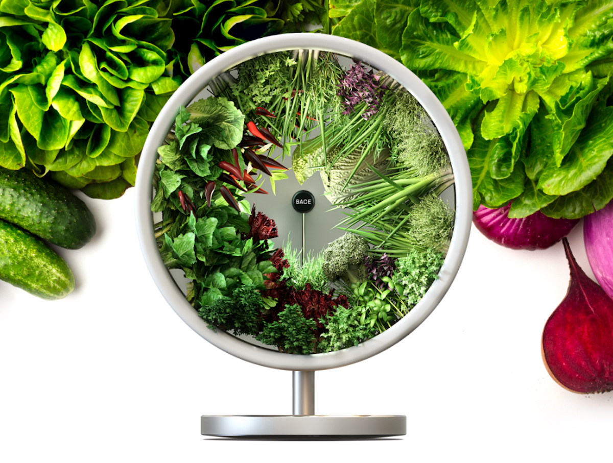 Rotofarm: su indiegogo il giardino indoor ispirato alla NASA Rotofarm: su indiegogo il giardino indoor ispirato alla NASA