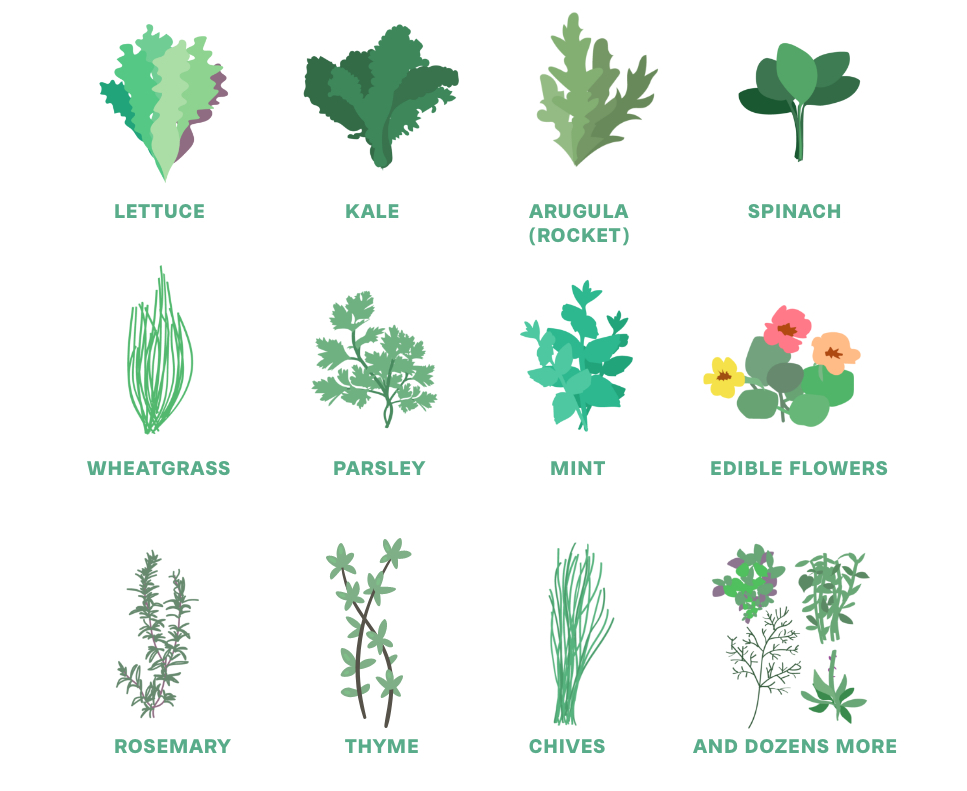 Rotofarm: su indiegogo il giardino indoor ispirato alla NASA Rotofarm: su indiegogo il giardino indoor ispirato alla NASA