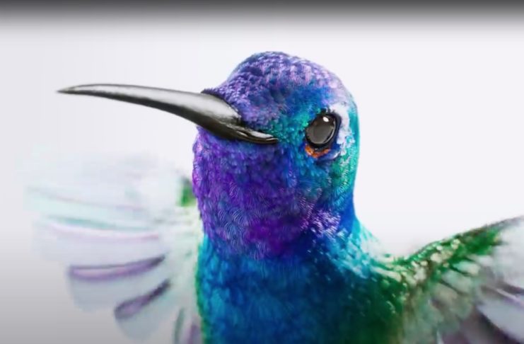 Nel video Apple Float un colibrì sfoggia iPad Pro con Magic Keyboard