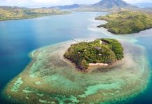 L’Intelligenza Artificiale per salvare le barriere coralline