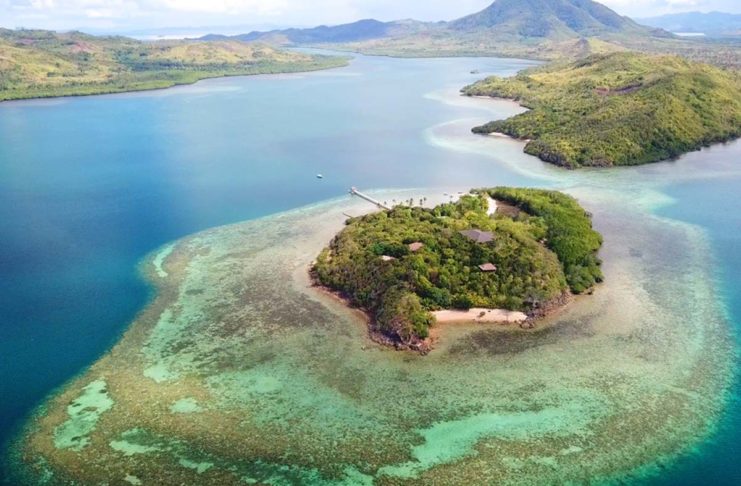 L’Intelligenza Artificiale per salvare le barriere coralline