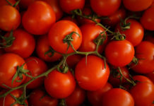 L’intelligenza artificiale per migliorare la resa delle colture dei pomodori