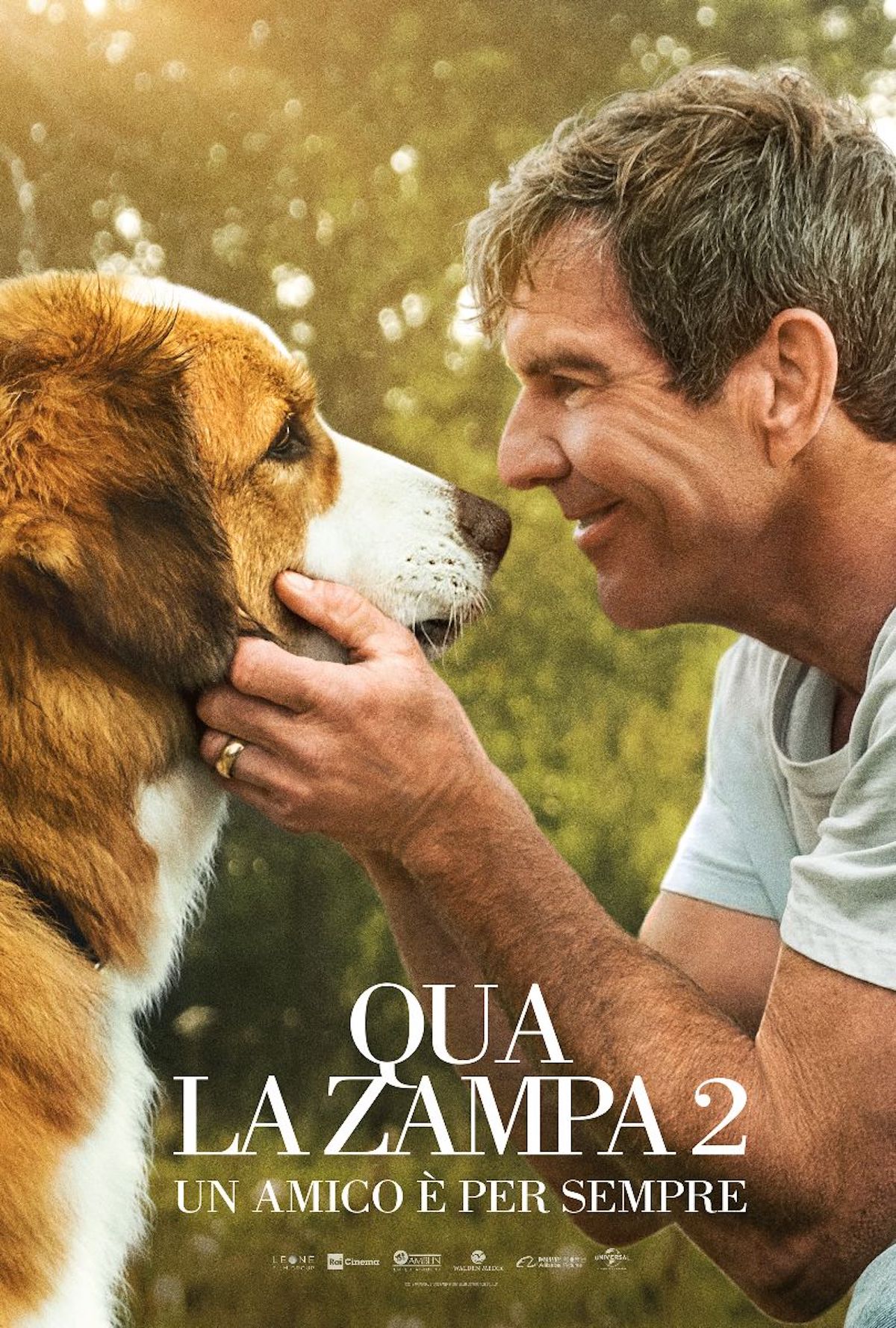 Amazon Prime Video, 4 nuovi film e un concerto live in arrivo ad aprile