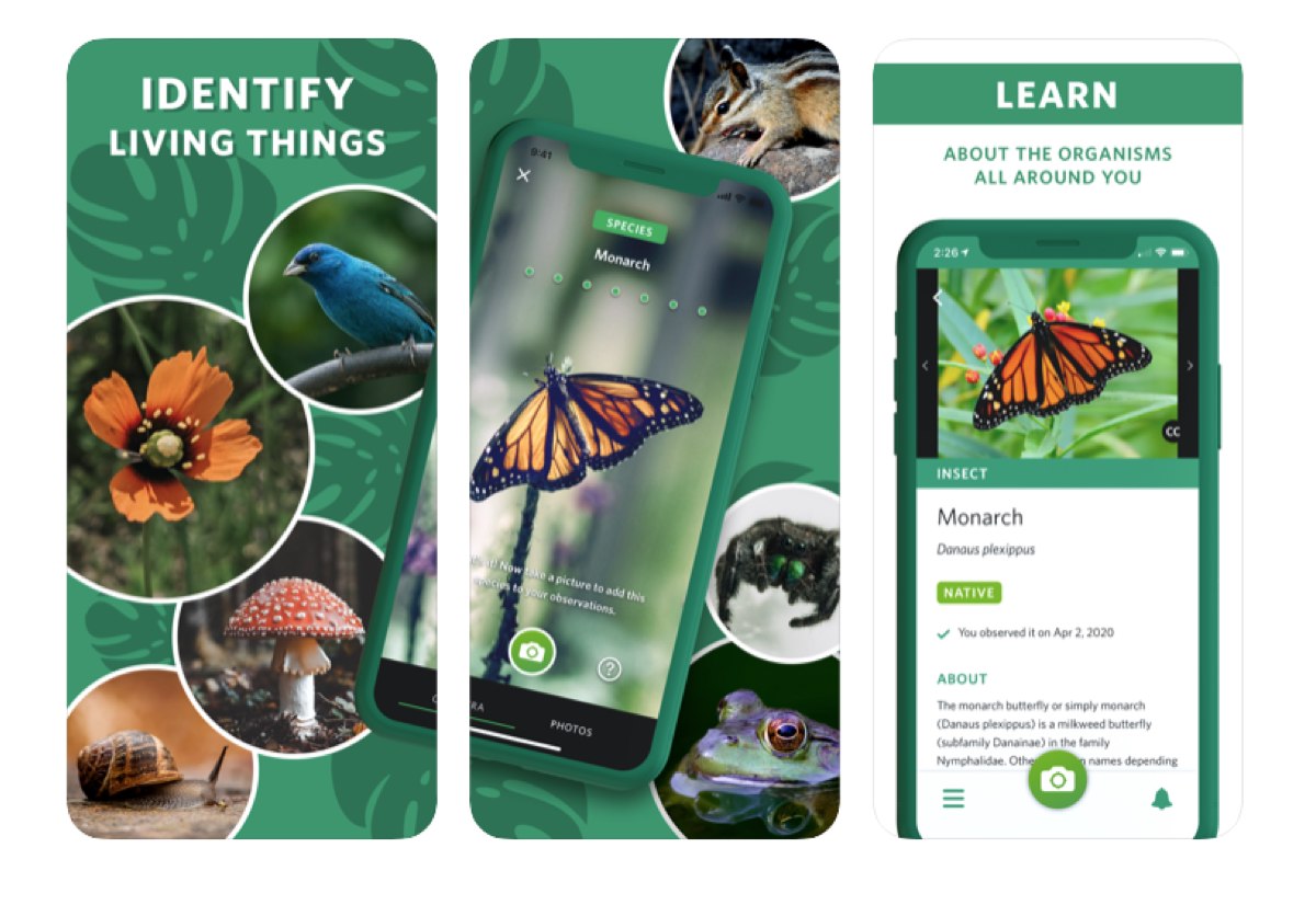 Apple celebra la Giornata della Terra con le app per “Aiutare il mondo da casa”