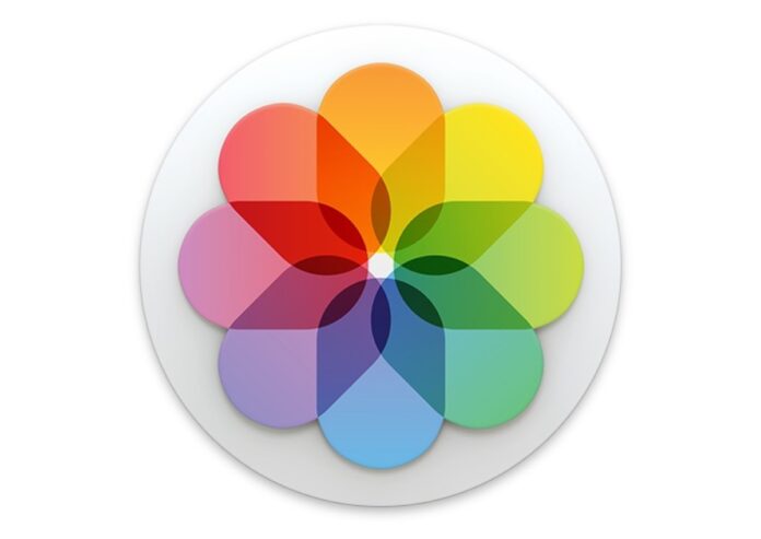 iOS 14 aumenta lo zoom per ingrandire le foto e vedere nei dettagli