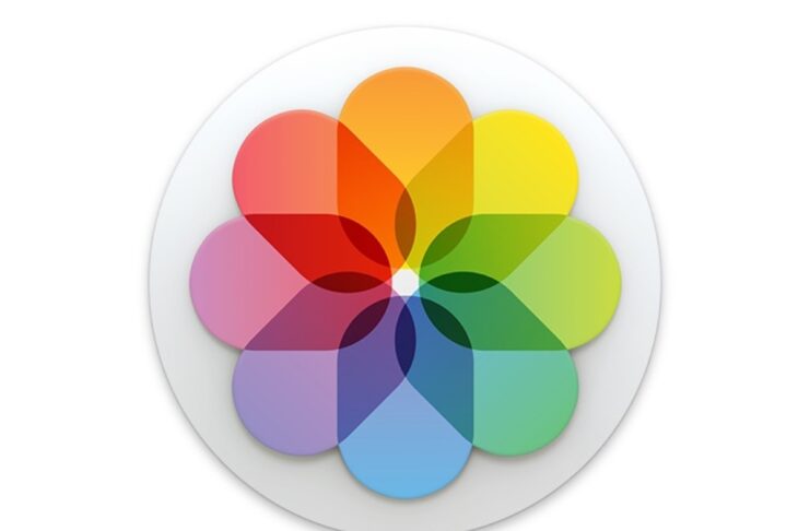 iOS 14 aumenta lo zoom per ingrandire le foto e vedere nei dettagli