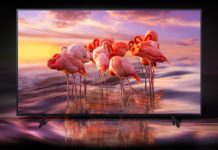 In super offerta la TV 75 pollici QLED Samsung QE75Q60RA a soli 998,99 Euro In super offerta la TV QLED Samsung QE75Q60RA 75 pollici, solo 998,99 euro