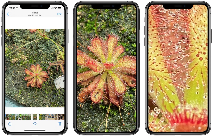 iOS 14 aumenta lo zoom per ingrandire le foto e vedere nei dettagli iOS 14 aumenta lo zoom per ingrandire le foto e vedere nei dettagli