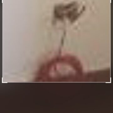 iOS 14 aumenta lo zoom per ingrandire le foto e vedere nei dettagli