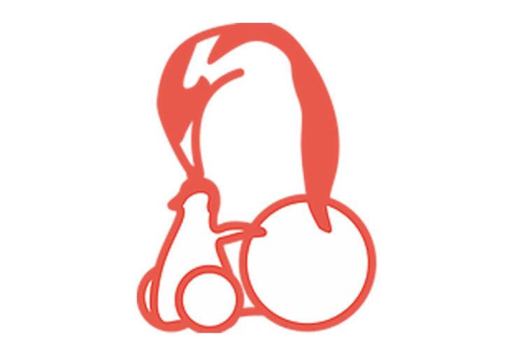 Sedie a rotelle comandate con la voce: il progetto di una startup italiana