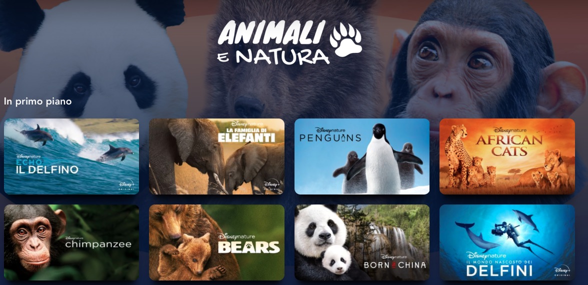 Disney+, la programmazione di film, serie tv e documentari per bambini