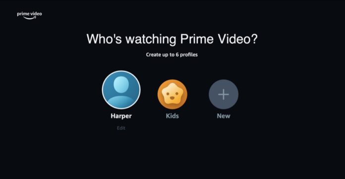 I profili per Amazon Prime Video fanno la felicità dei singoli membri della famiglia