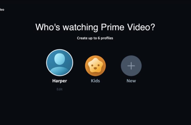 I profili per Amazon Prime Video fanno la felicità dei singoli membri della famiglia