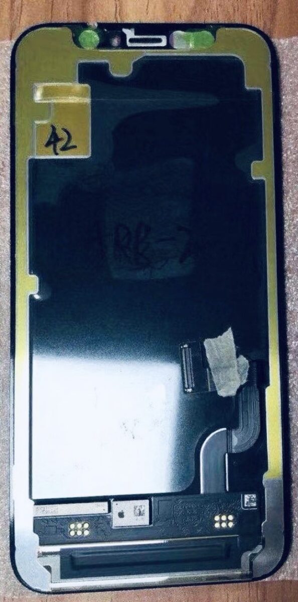 In foto il presunto schermo OLED di iPhone 12