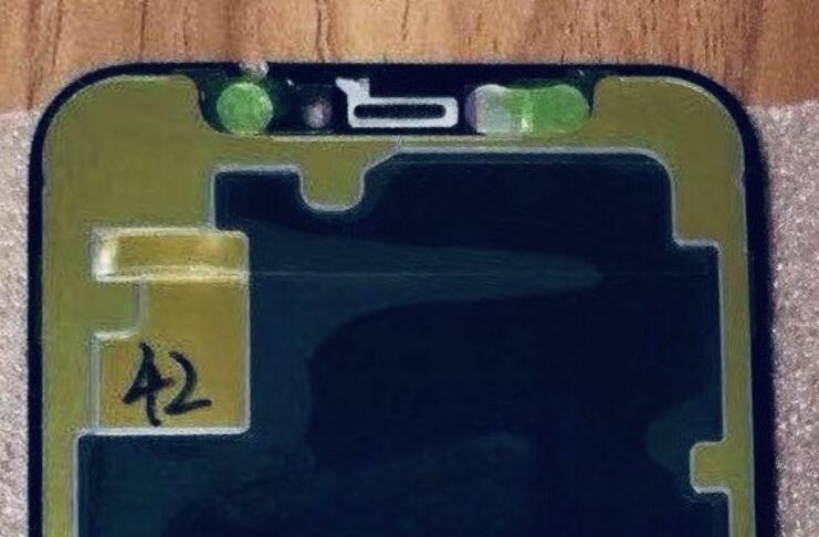 In foto il presunto schermo OLED di iPhone 12