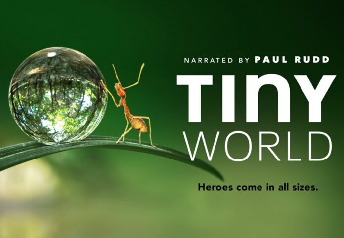 “Tiny World”, ecco il primo strabiliante trailer del documentario di Apple TV+