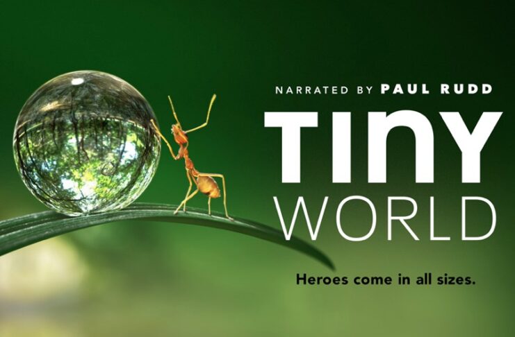 “Tiny World”, ecco il primo strabiliante trailer del documentario di Apple TV+
