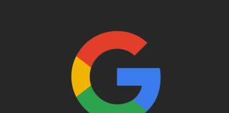 Google inizia a visualizzare i dettagli della licenza per i risultati immagini