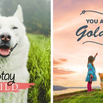 Adobe lancia Photoshop Elements e Premiere Elements 2021